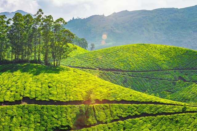 India