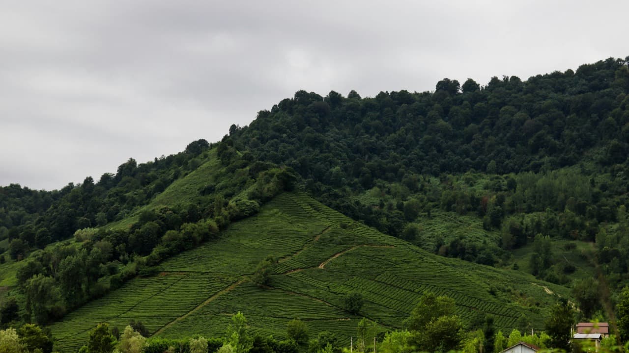 mountain