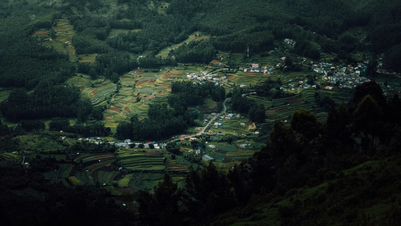 mountain