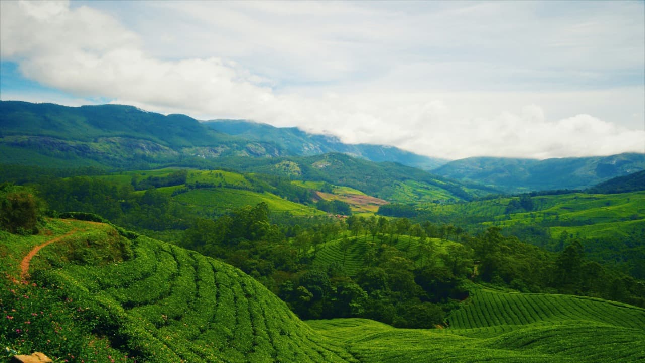 mountain