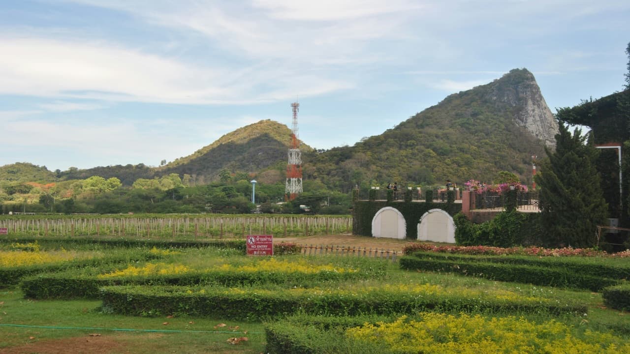 mountain