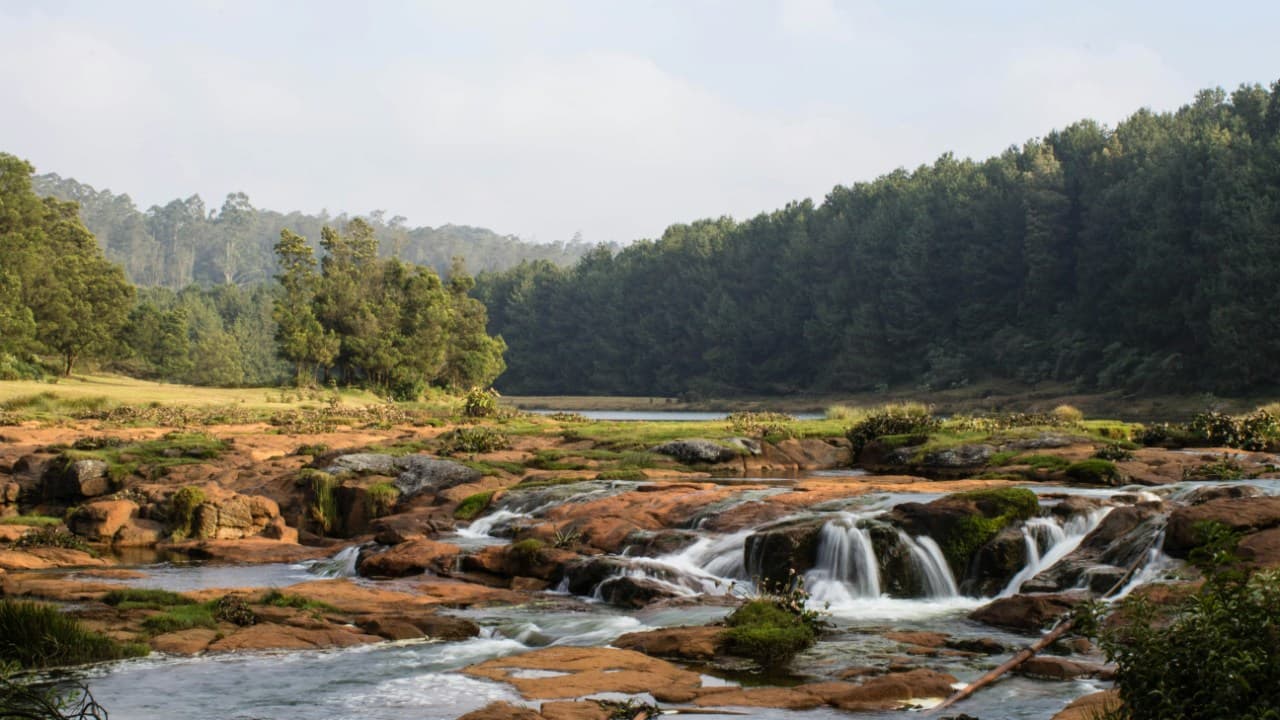 Ooty