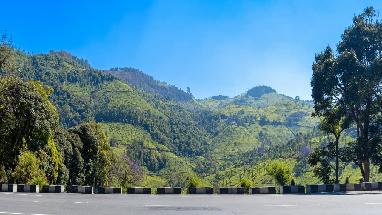 mountain