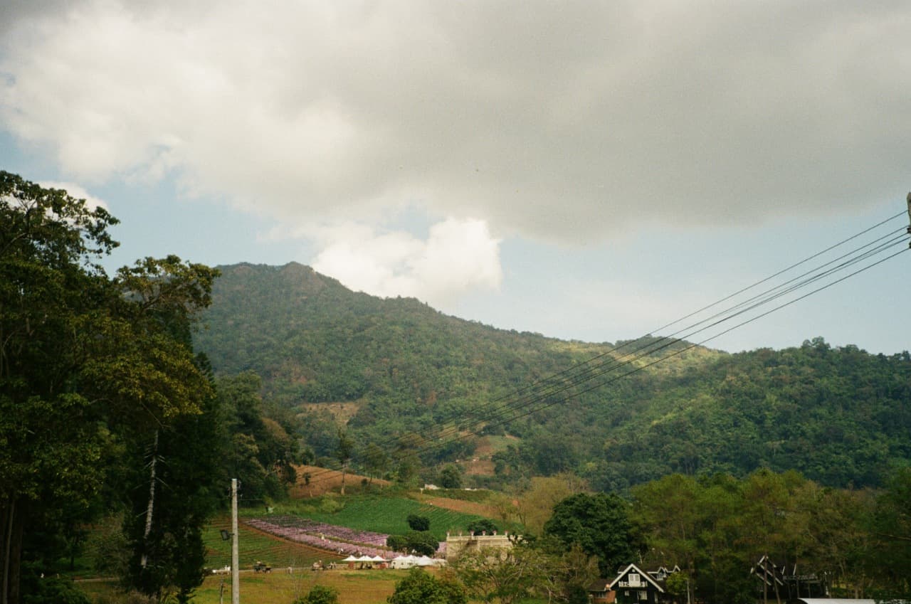 mountain