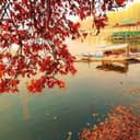 Gemstone Tours And travels logo