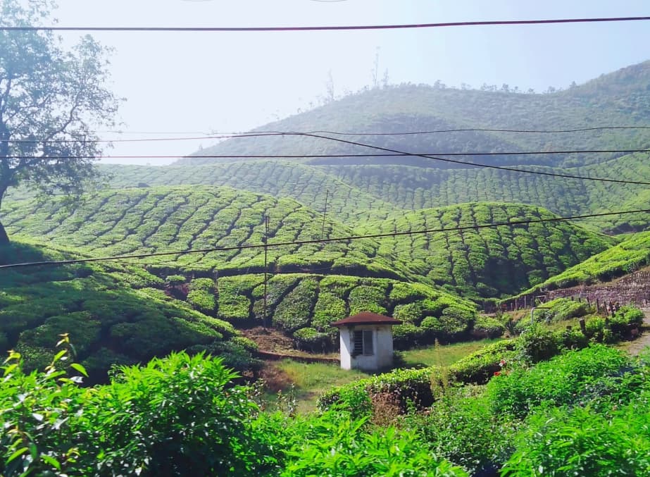 Meghalaya Waterfalls & Villages Circuit