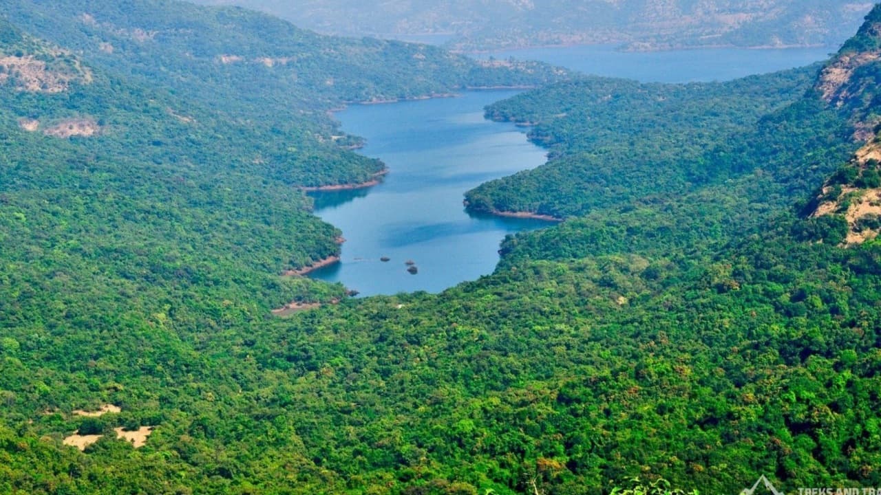 Jungle Wilderness Trek