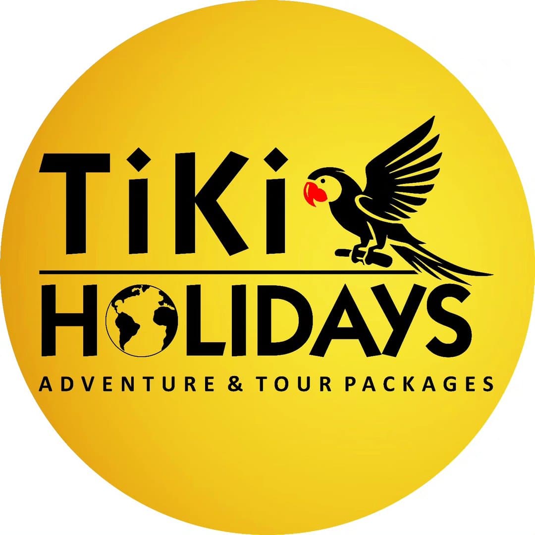 Tiki Holidays cover