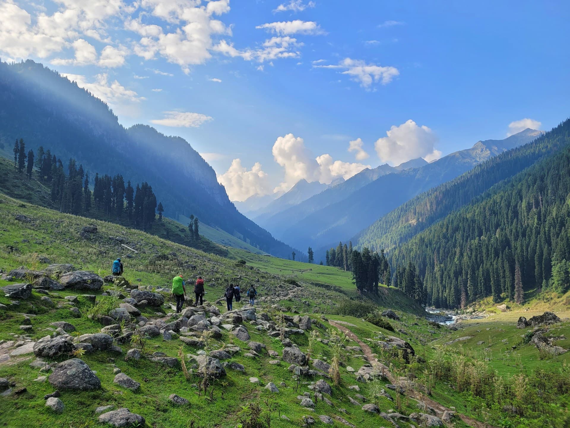 Vinayak Tours and Travels cover