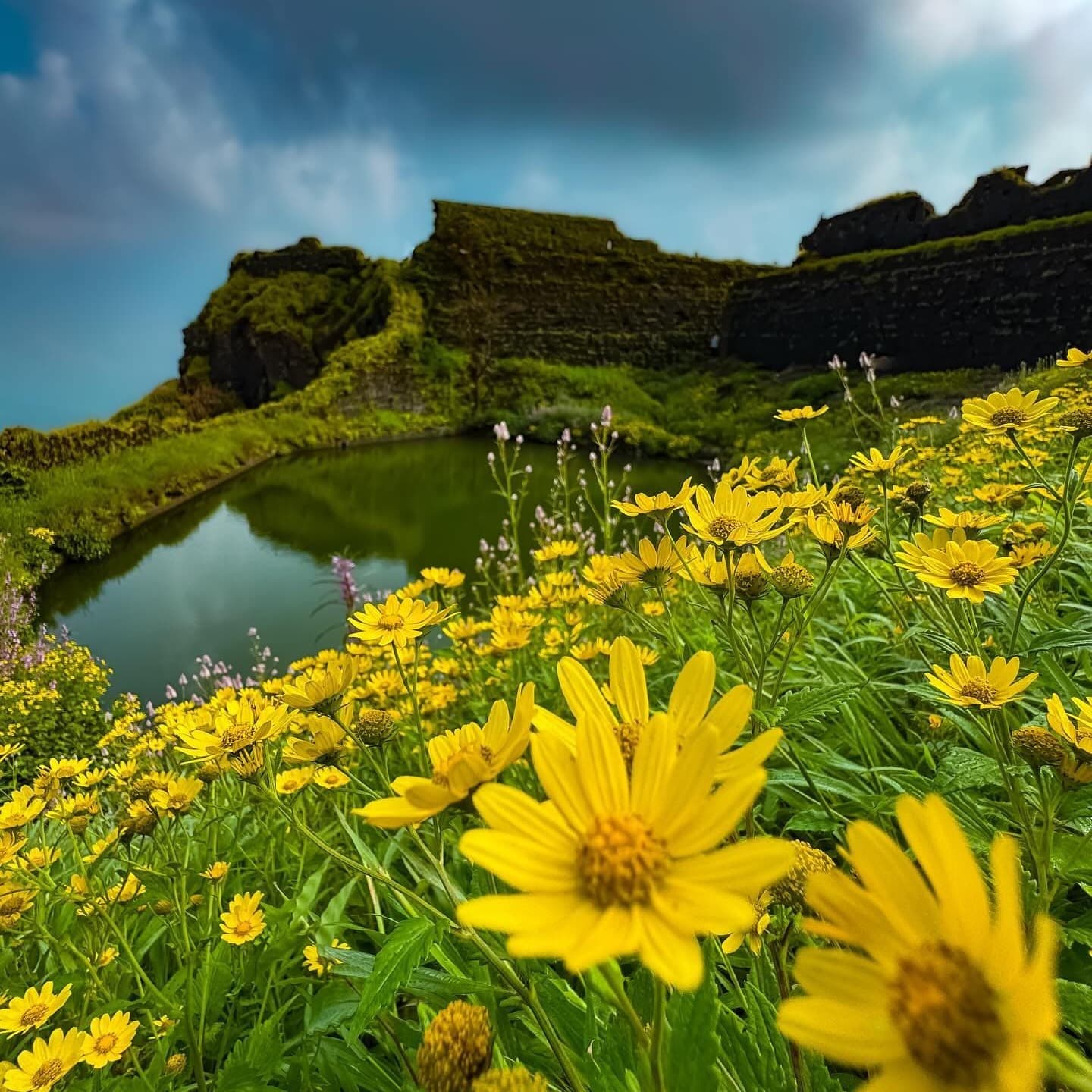 Flower festival trek