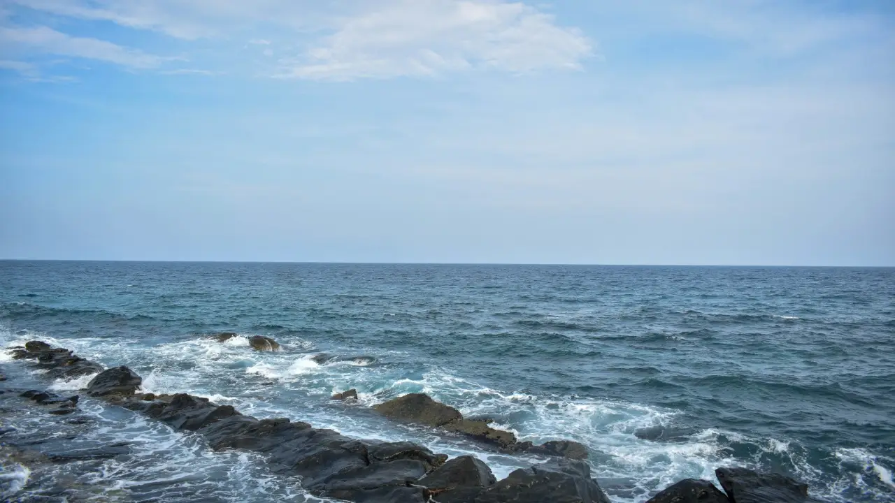 Gallery image 11