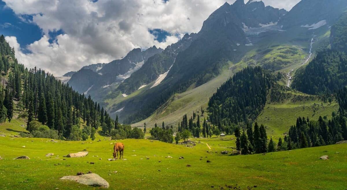 nature, sightseeing, family