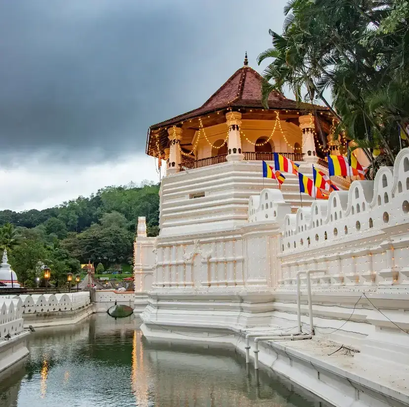 Warusa Travels cover