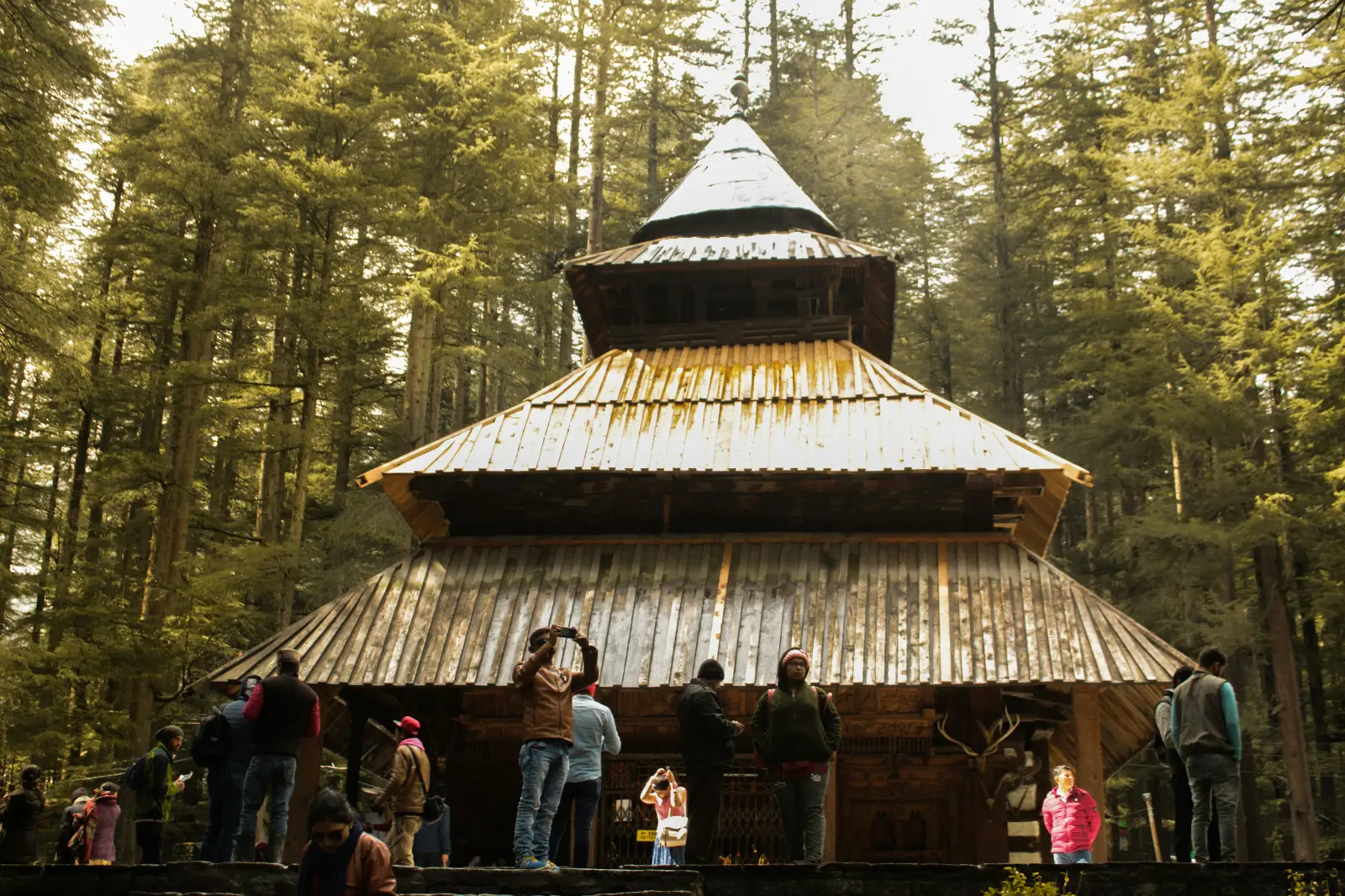 Gallery image 2