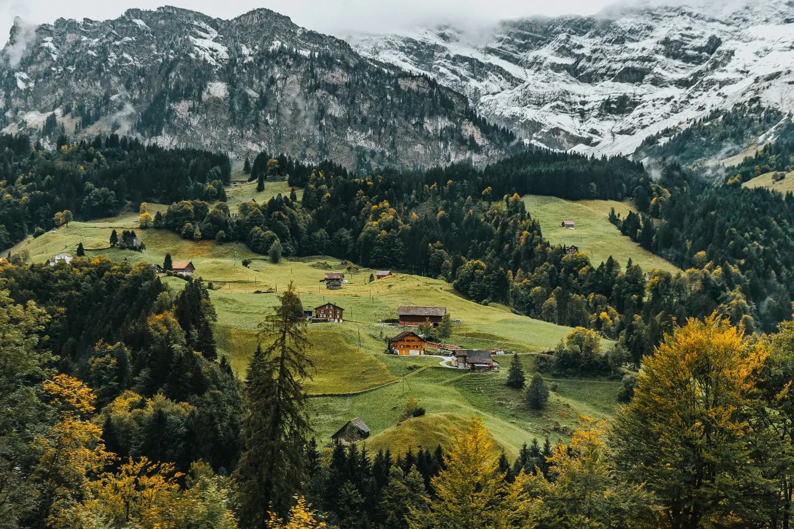 mountain