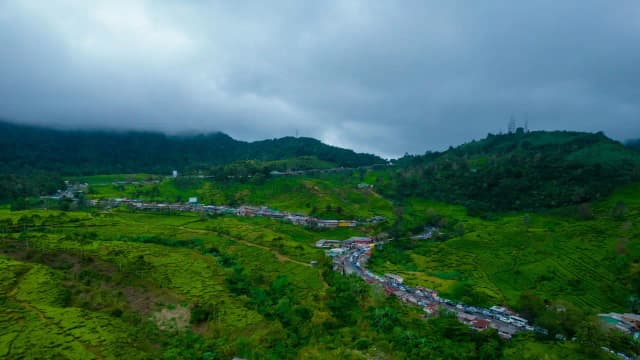 Jibhi