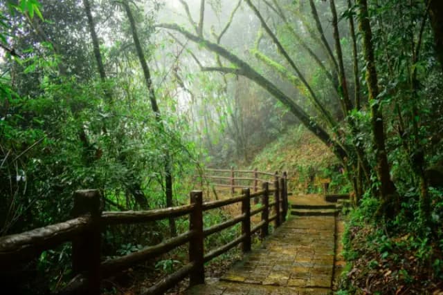 Kaziranga