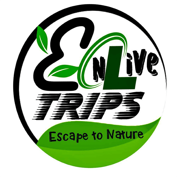 Enlive Trips cover