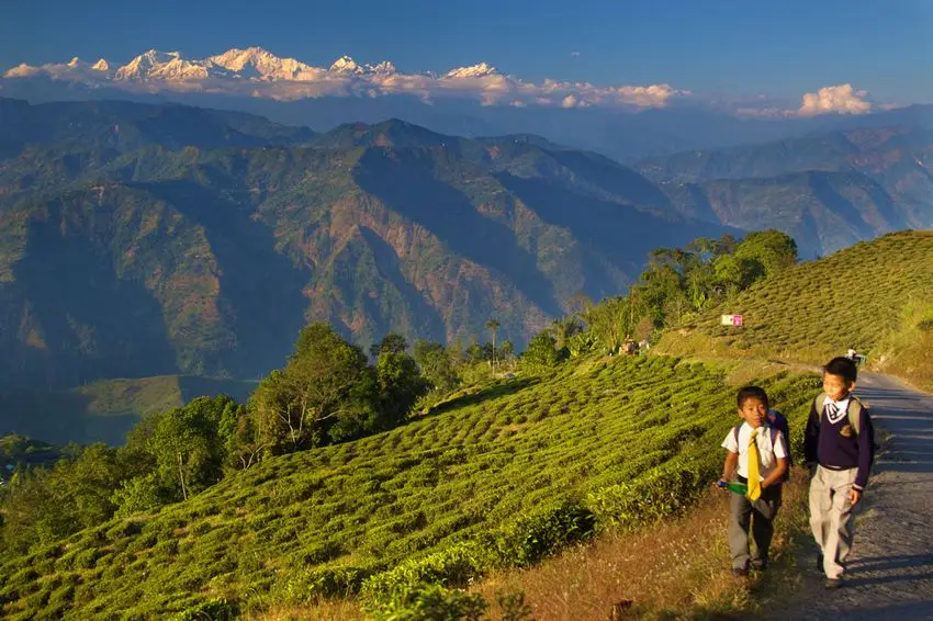 Bagdogra
