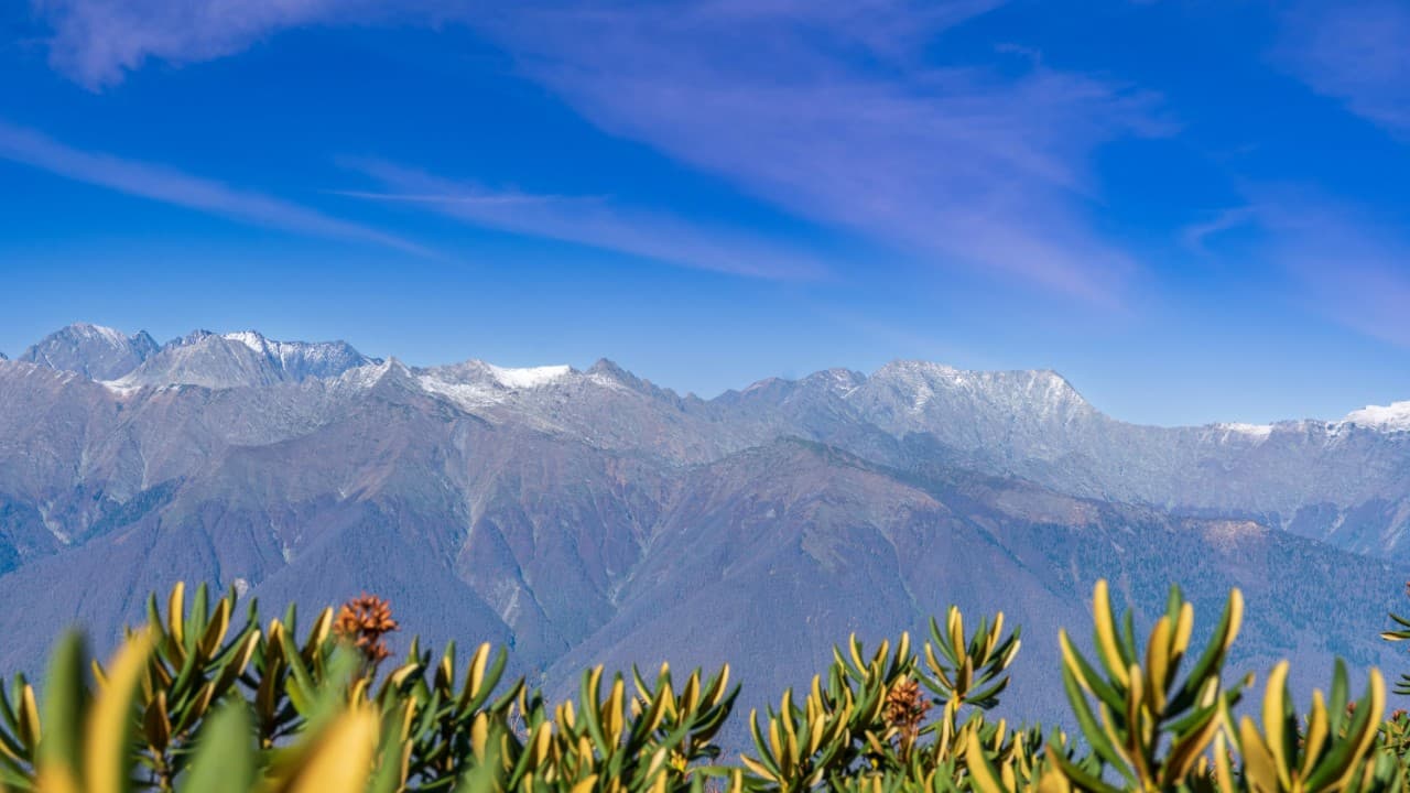 mountain