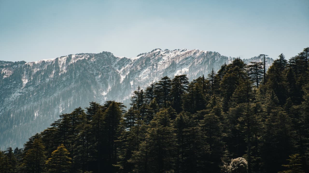 mountain