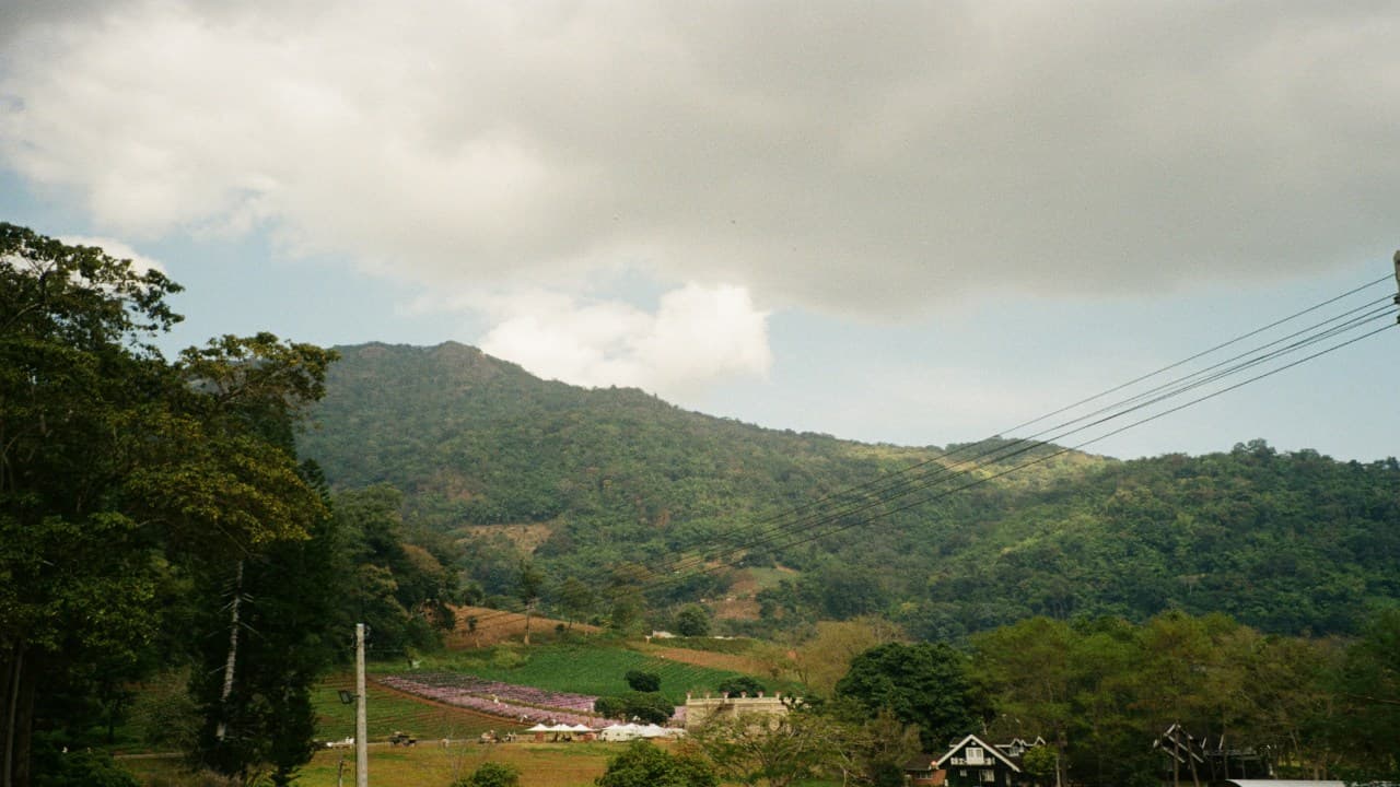 mountain