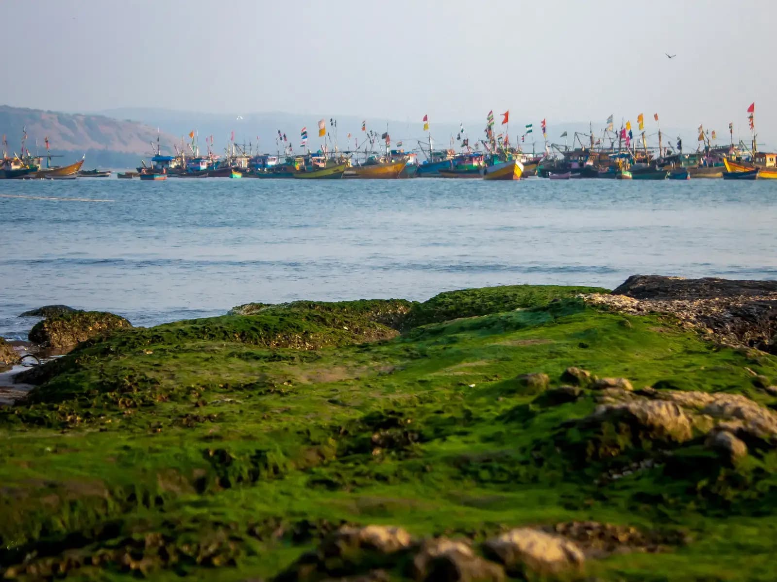 Konkan