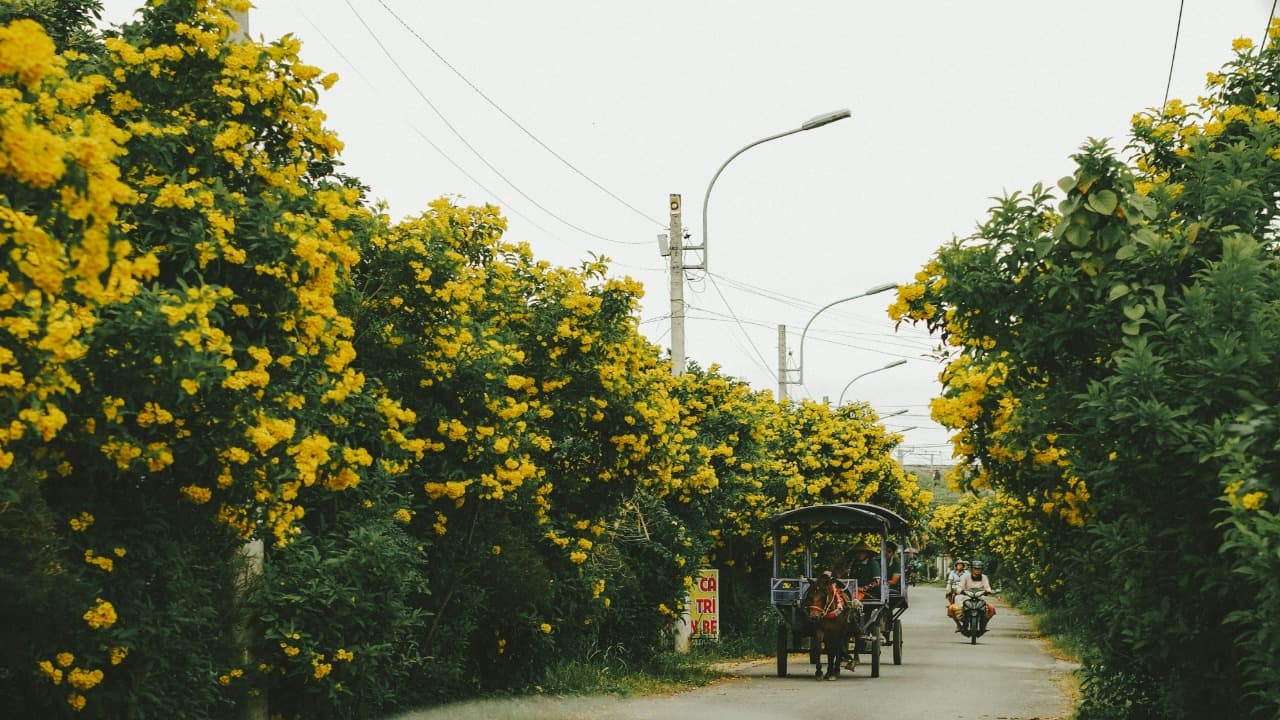 pilgrimage