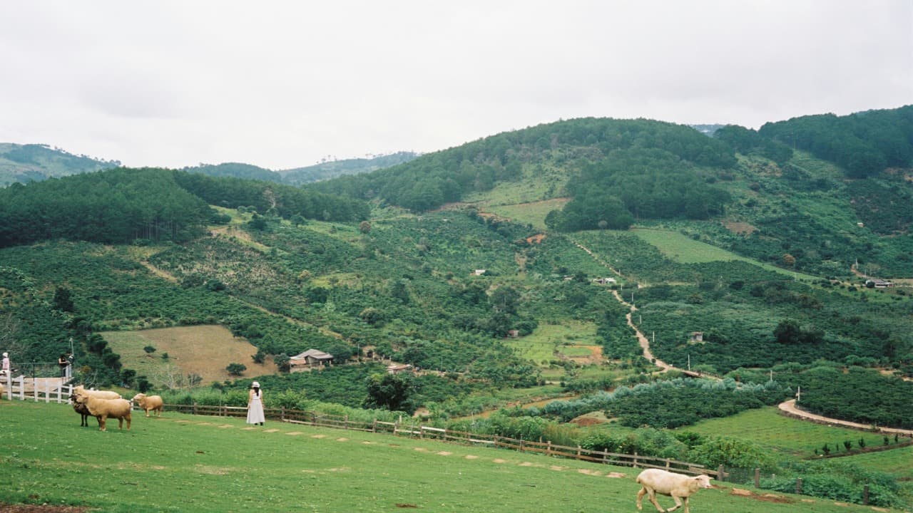 mountain