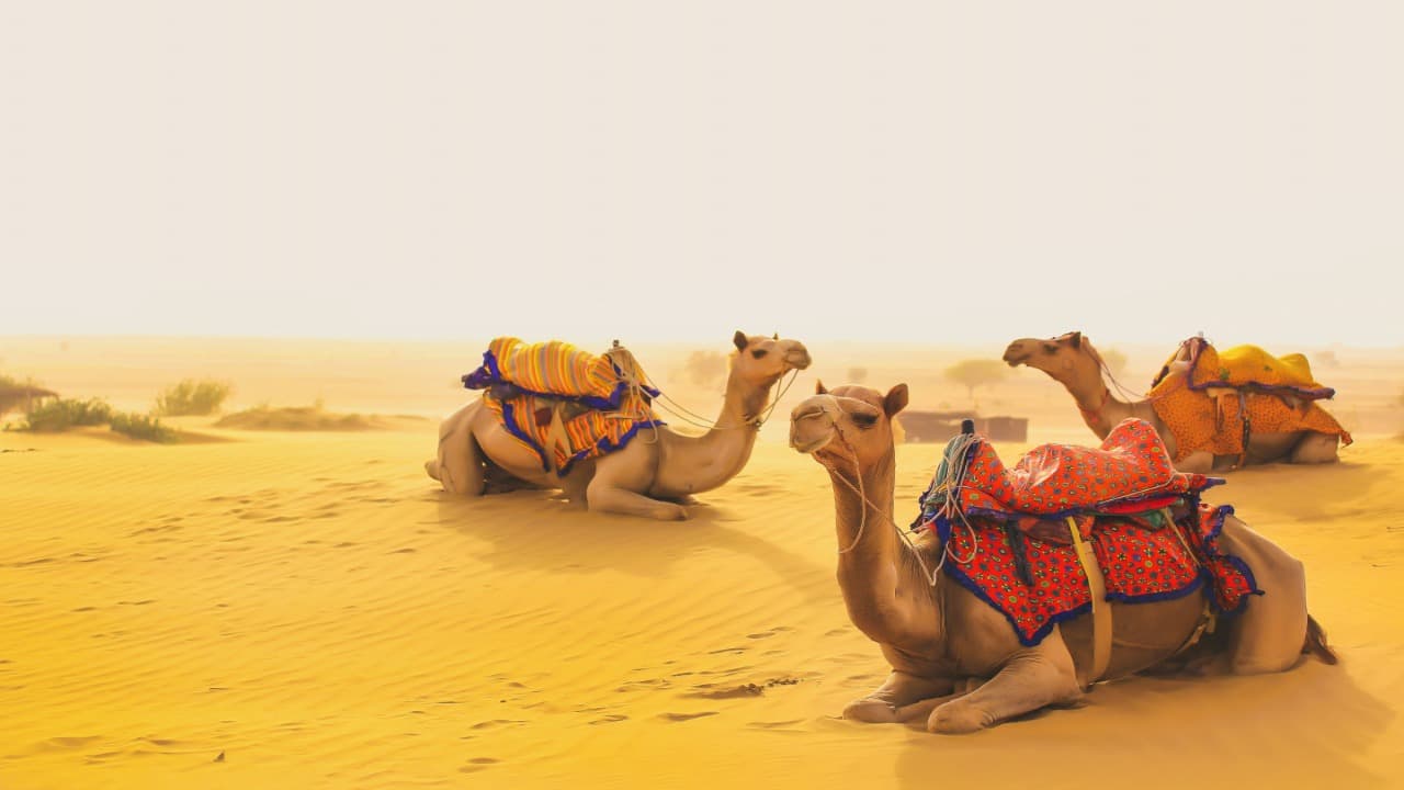 desert