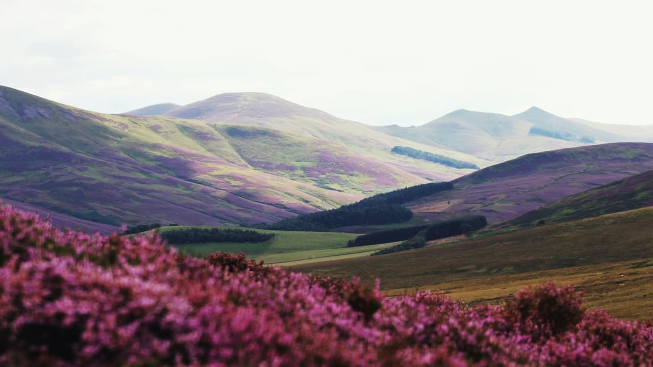 mountain