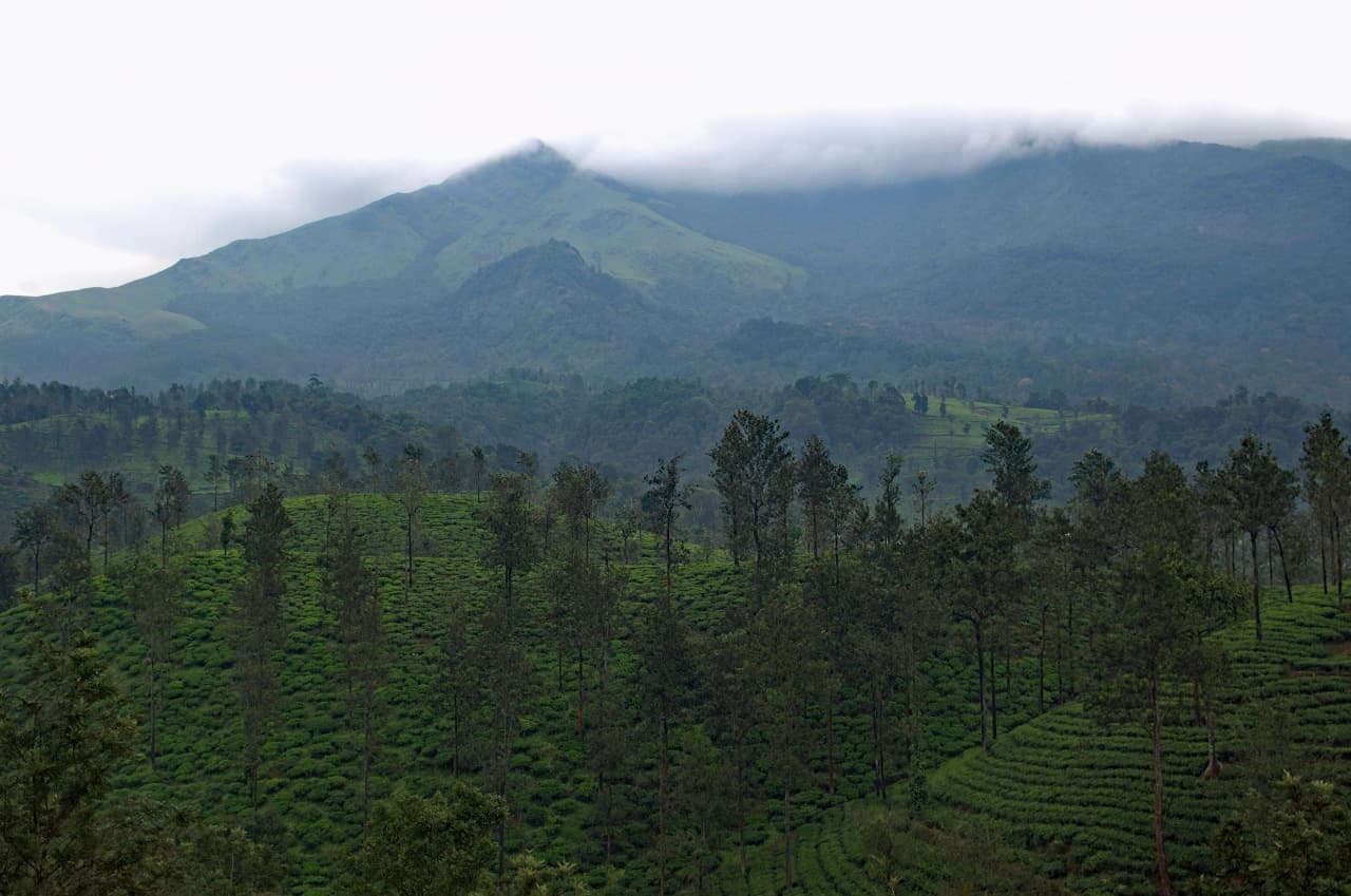 mountain