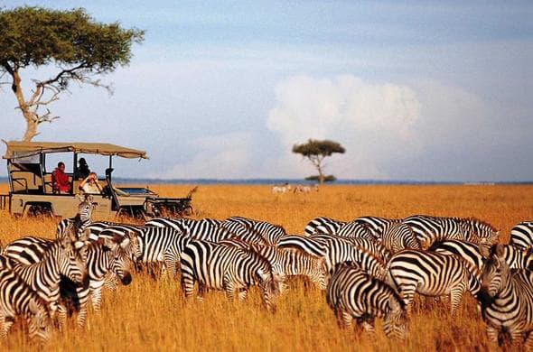 Masai Mara National Reserve