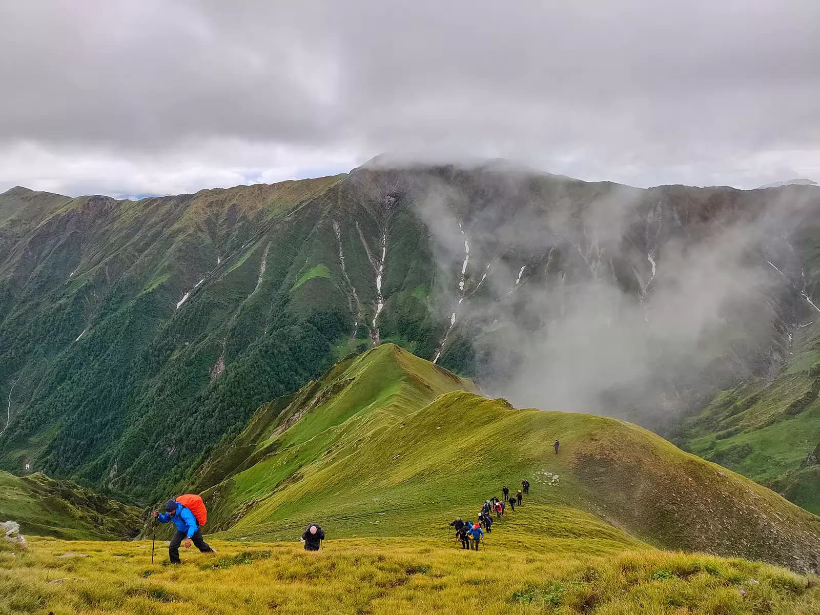 Hidden Alpine Meadow Trek
