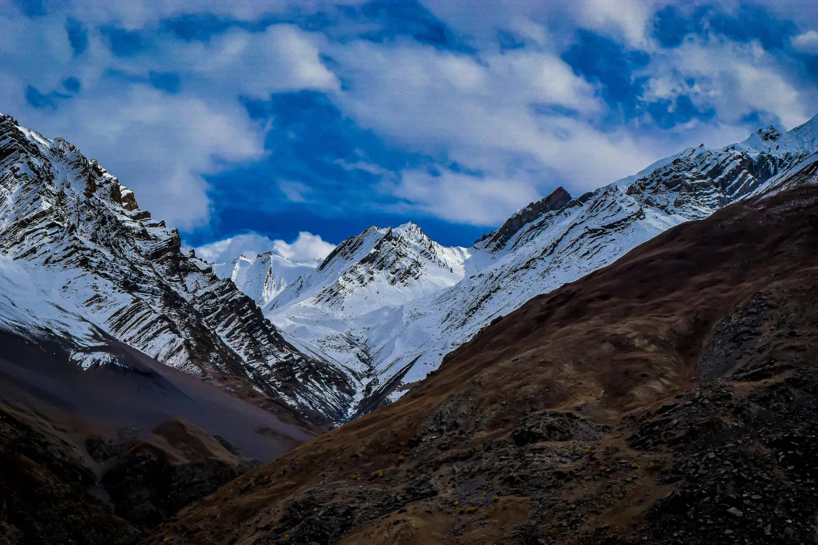 Alpine Adventures cover photo