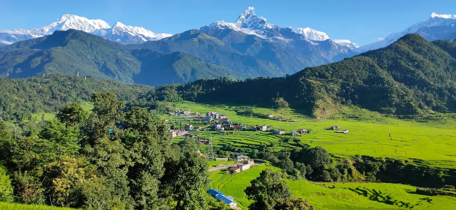 GREAT TIBET TOUR cover photo