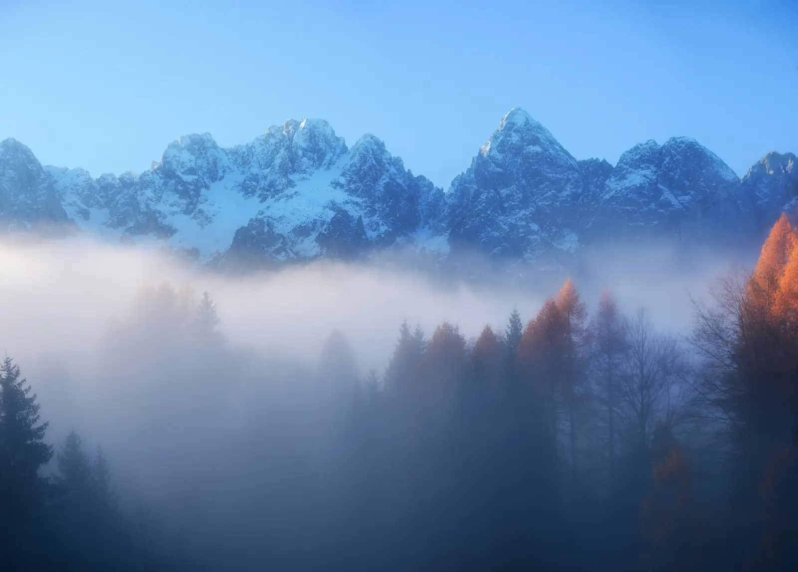 Himoraexpedition cover photo