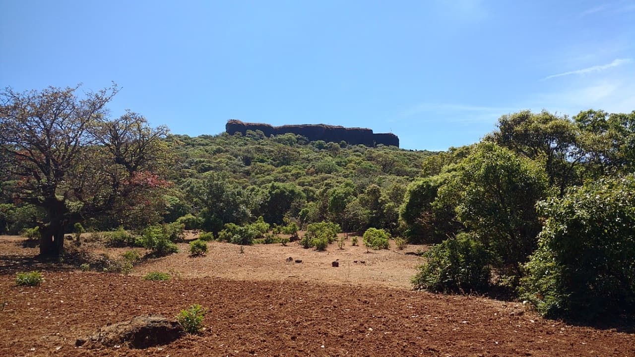 Mountain trek