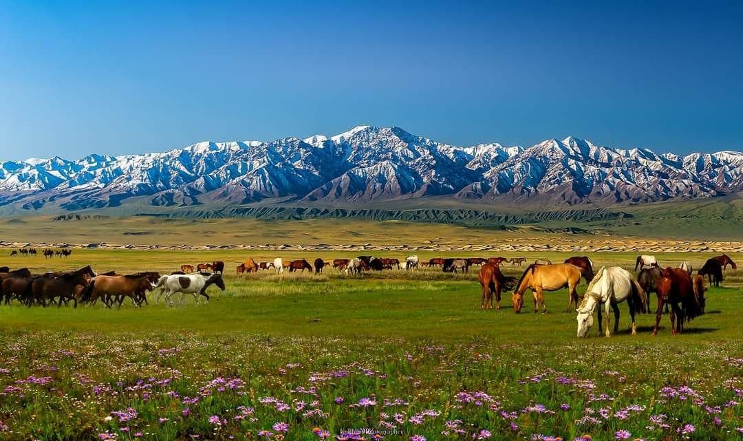 Mastertrip Tours and Travel cover photo