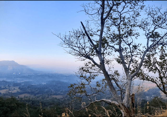 Kothaligad Fort
