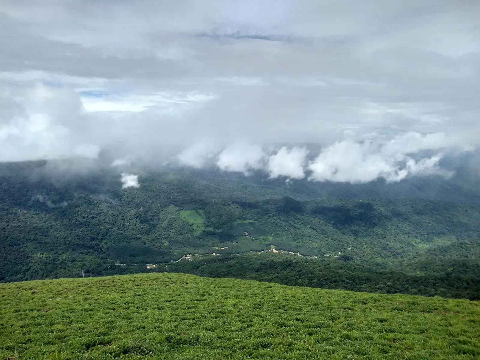 Travel Tribes cover photo