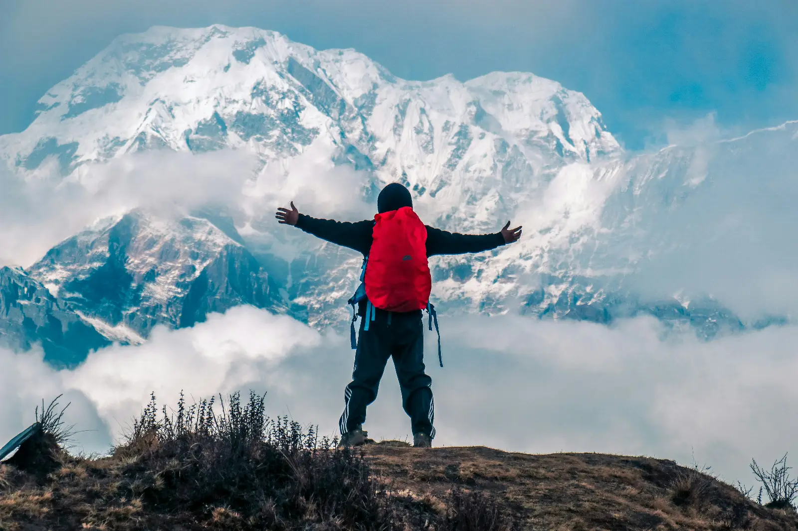 Treki Travels cover photo