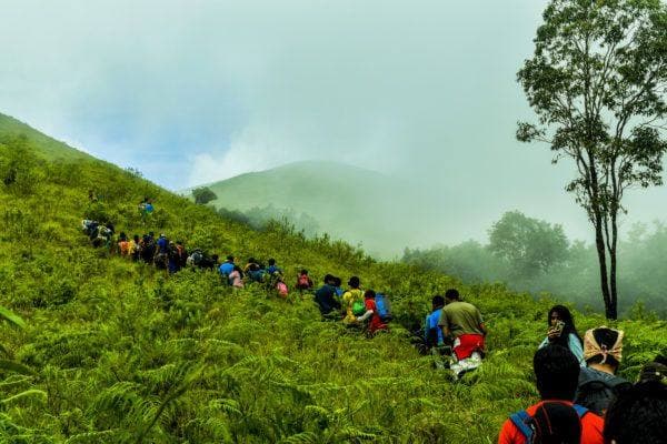 Dandeli