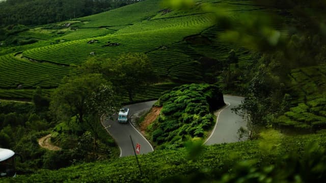 Ooty