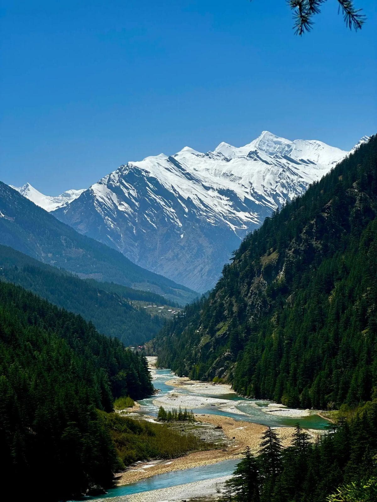 Himachal Adventure Tours cover photo