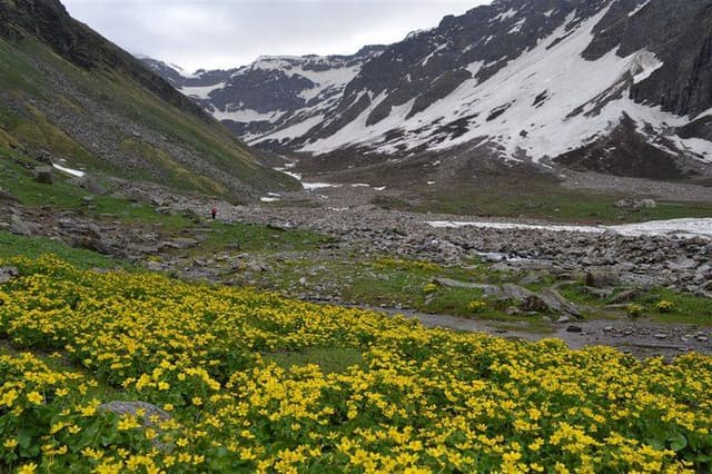 Buran Ghati Pass