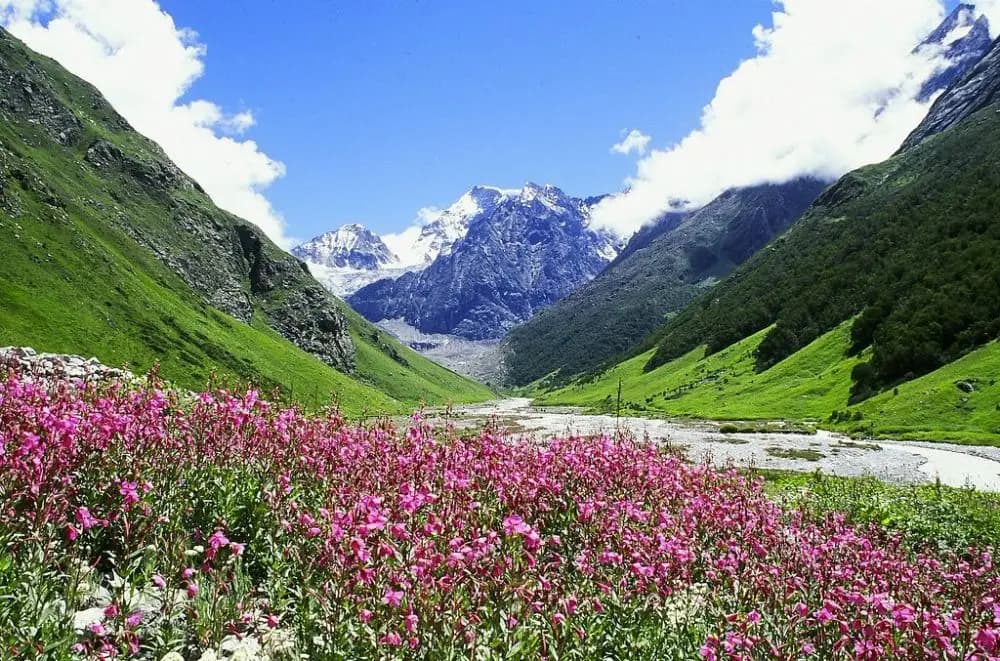 mountain