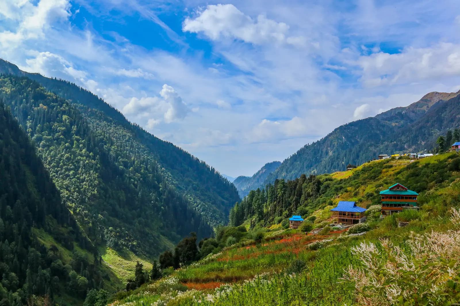mountain