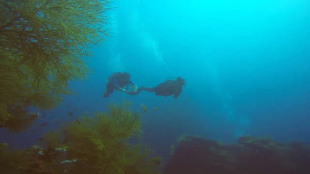 Andaman Islands