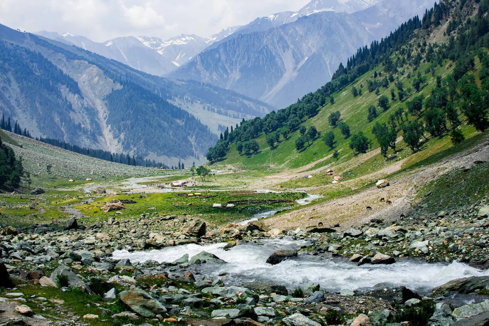 mountain